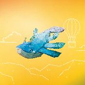 whales flight - Among